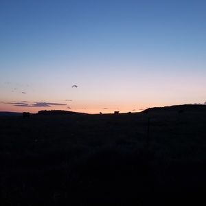 Meet your Posher, Jesse